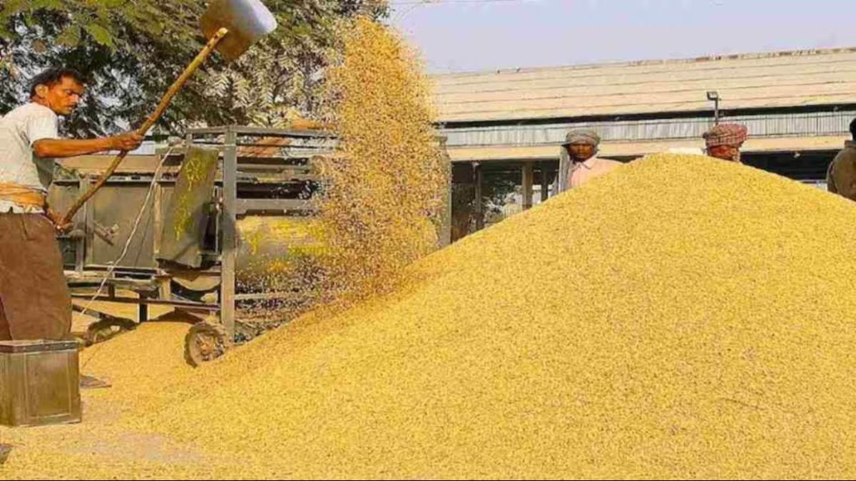 60 हजार किसान सरकारी क्रय केंद्रों पर नहीं बेच पाए धान, अब MSP से कम कीमत पर  बेचने को हुए मजबूर - 60 thousand farmers could not sell paddy at purchasing  centers in Odisha -