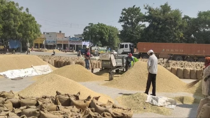 छत्तीसगढ़ में रिकॉर्ड तोड़ धान की खरीद. (सांकेतिक फोटो)