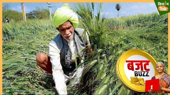 अंतरिम बजट में कृषि उद्यम पर मेहरबान हो सकती है सरकार.