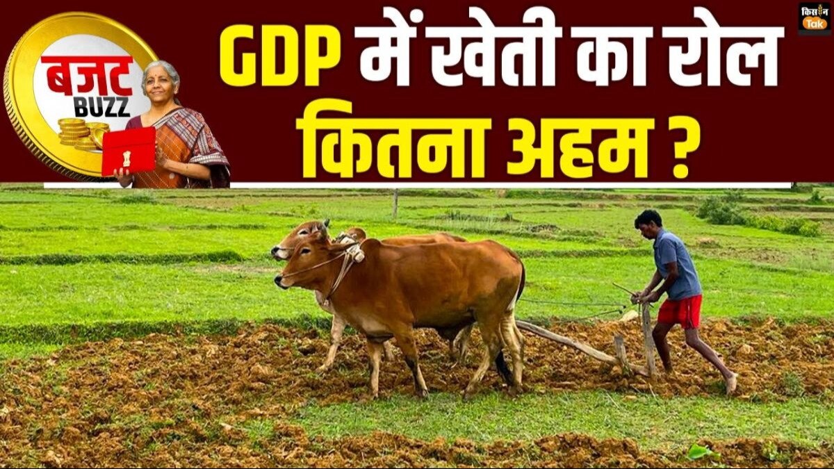 केंद्रीय सांख्यिकी विभाग साल में 4 बार यानी हर तिमाही में जीडीपी आंकड़े जारी करता है.