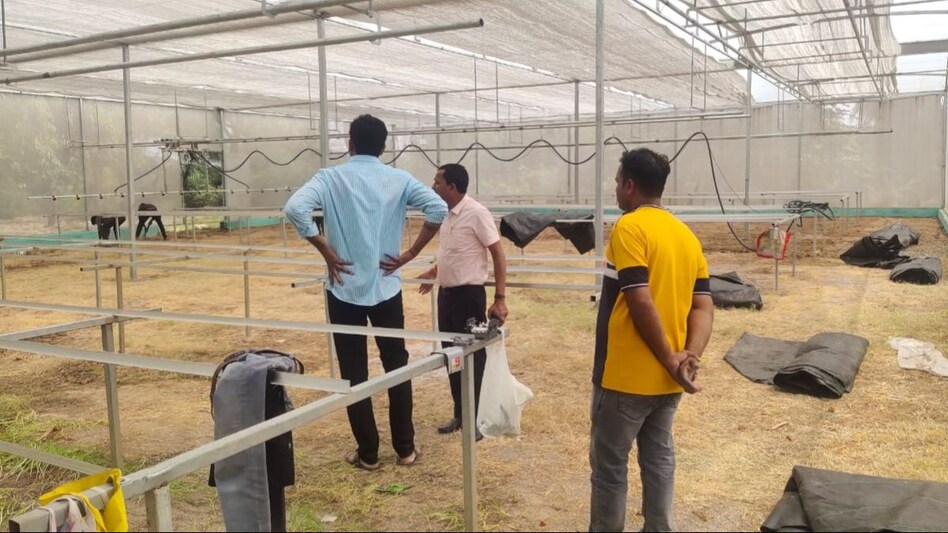 यूपी में मनरेगा मजदूर और स्वयं सहायता समूह बने Hitech Nursery Project के सारथी यूपी में मनरेगा मजदूर और स्वयं सहायता समूह बने Hitech Nursery Project के सारथी