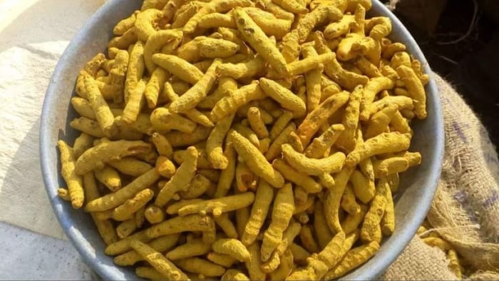 हल्दी की कीमतों में हुई बढ़ोतरी