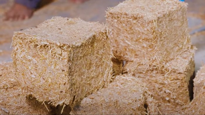 यहां से खरीदें मवेशियों के लिए सस्ता चारा