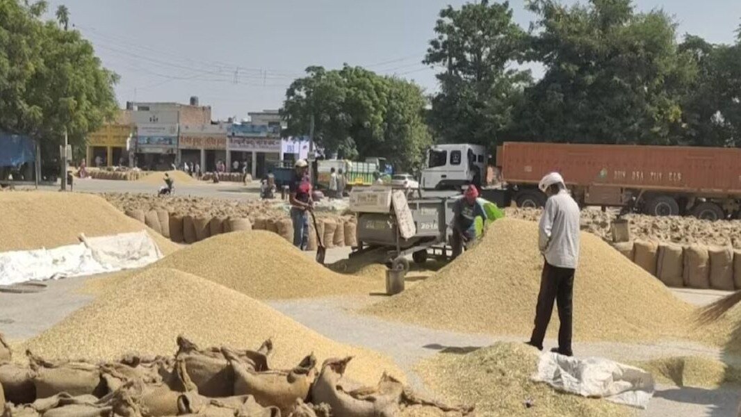 झारखंड में धीमी गति से हो रही धान की खरीद, कैसे पूरा होगा लक्ष्य