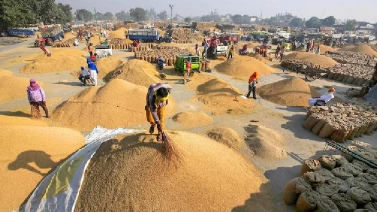 600 लाख टन से अधिक हुई धान की खरीदी, किसानों के खातों में पहुंचे 130000 करोड़ रुपये