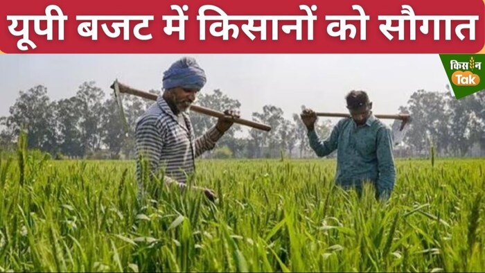 बुंदेलखंड में सिंचाई के लिए सीजनल टैरिफ स्कीम