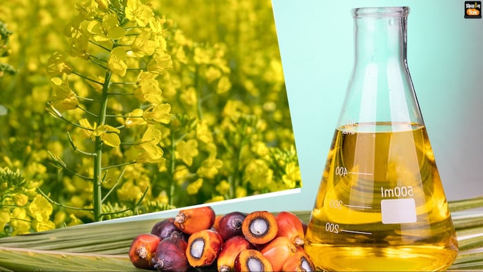 सरसों समेत अन्य तिलहनी फसलों के कम दाम पर क्या है CACP की सिफारिशें