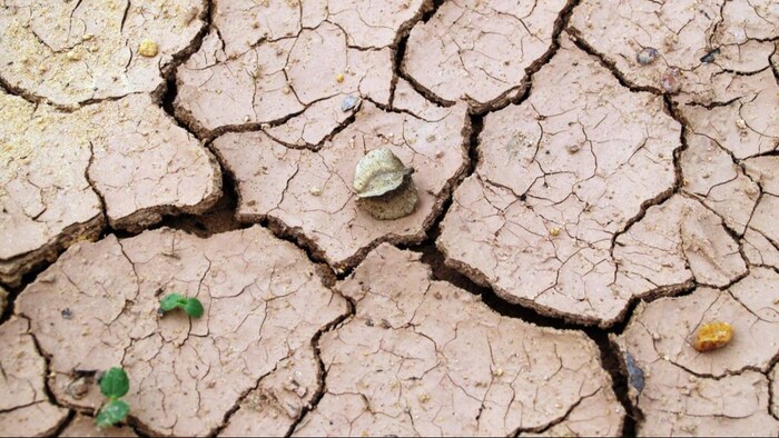 एल नीनो पर दो बड़ी मौसम एजेंसियों ने दी अहम जानकारी