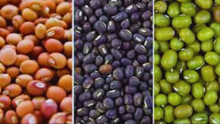 गरमा फसलों के बीच पर भारी छूट दे रही बिहार सरकार