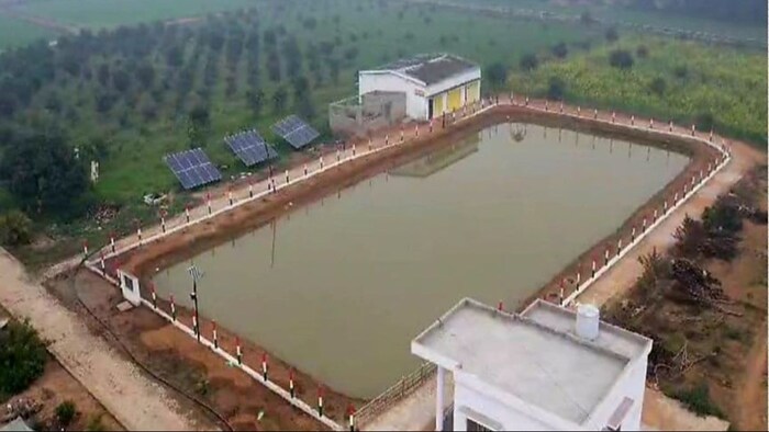 यूपी के बस्ती में किसानों ने मछली पालन और बागवानी का अनूठा मॉडल अपनाया (फोटो: साभार, यूपी सरकार)