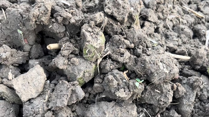 बिहार के खेतों की मिट्टी हो रही कमजोर