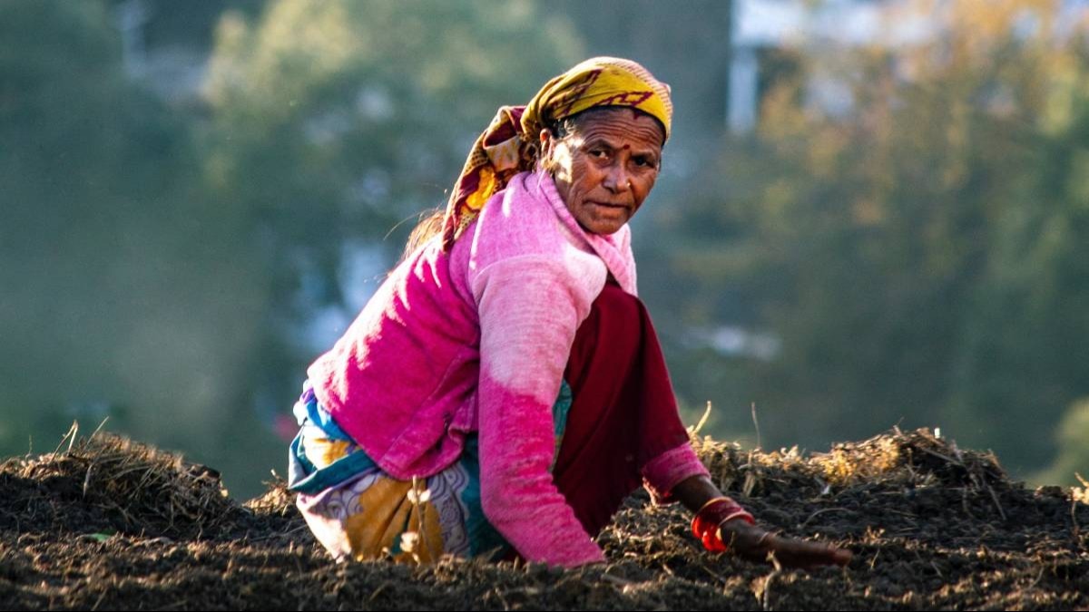  कितनी बढ़ी है देश के किसानों की सैलरी, सरकार ने बताया सारा सच, आप भी जानिए  
