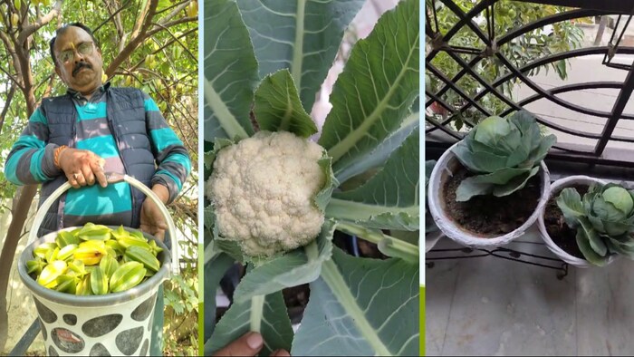 किचन गार्डनिंग का शौक रखने वाले लखनऊ के विनोद कुमार पांडेय (Photo-Kisan Tak)