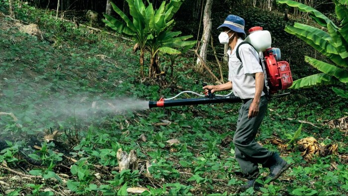 अमेरिका की कोर्ट ने लिया एतिहासिक फैसला