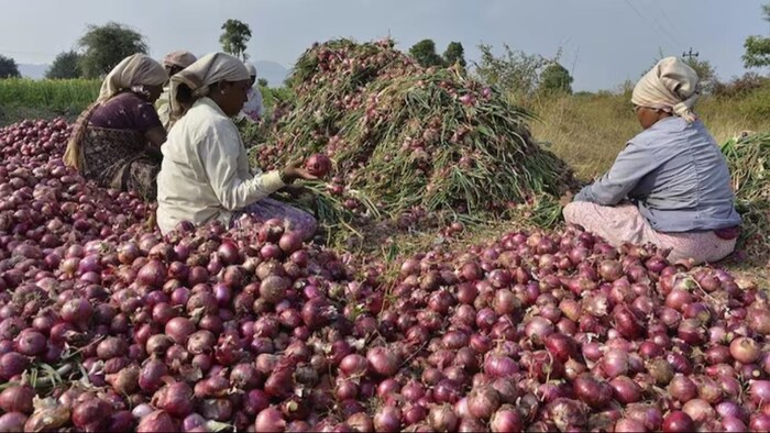 केंद्र सरकार की टीम ने प्याज मंडी का किया दौरा. (सांकेतिक फोटो)