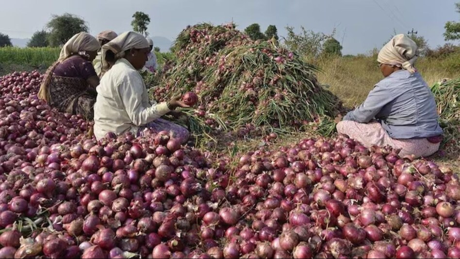 किसान आंदोलन के बीच केंद्रीय टीम पहुंची एशिया की सबसे बड़ी प्याज मंडी, जानें क्या है सरकार का प्लान किसान आंदोलन के बीच केंद्रीय टीम पहुंची एशिया की सबसे बड़ी प्याज मंडी, जानें क्या है सरकार का प्लान