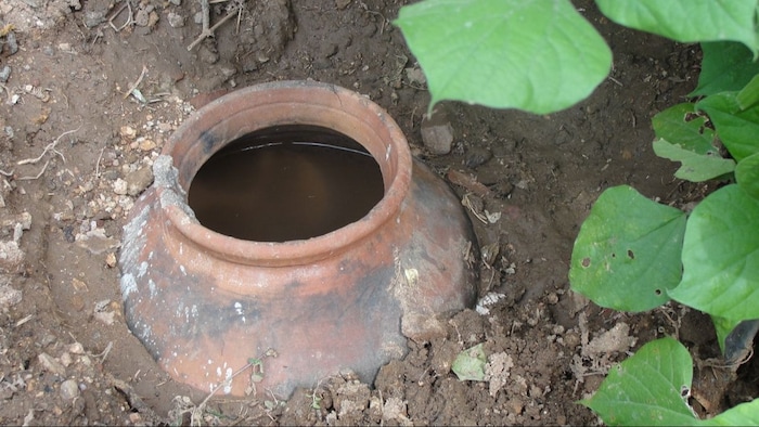 क्या है मटका खाद और इसको बनाने का तरीका