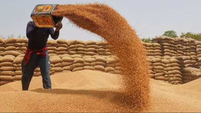 जानिए गेहूं का मंडी भाव
