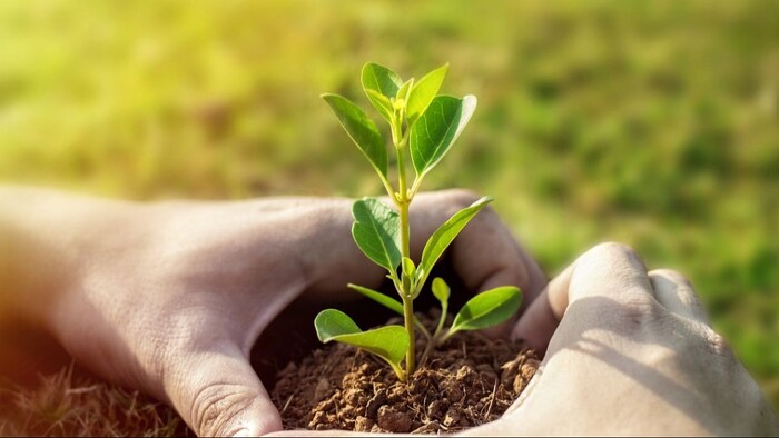 जब जैविक खेती है तो खादों पर पैसे लुटाने की क्या जरूरत