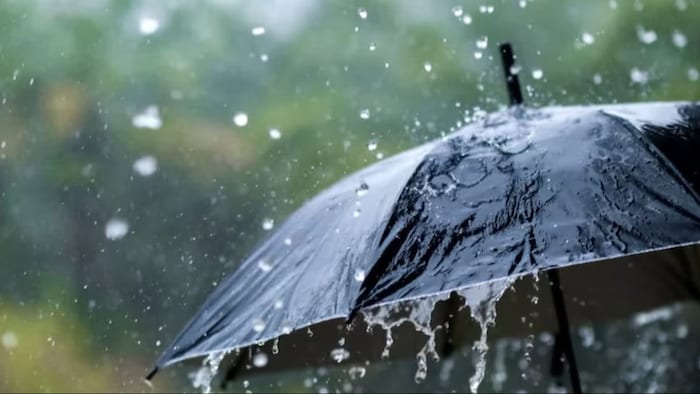 जानिए बारिश को लेकर मौसम विशेषज्ञों ने क्या कहा