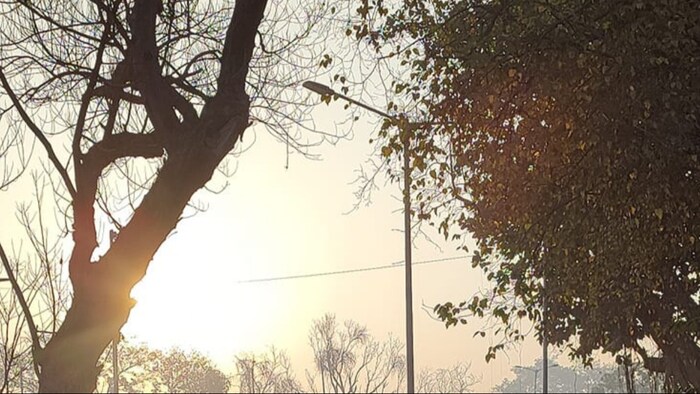 राजधानी लखनऊ समेत कई जिलों में खिली धूप (Photo-Kisan Tak)