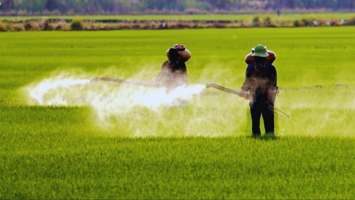 किसान ने बनाया देसी जुगाड़ से मशीन