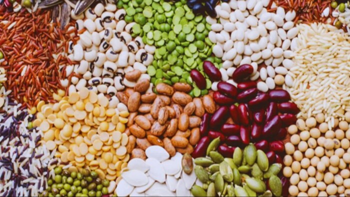 यूपी के इस जिले में किसानों को FREE में मिलेगा सब्जियों का बीज