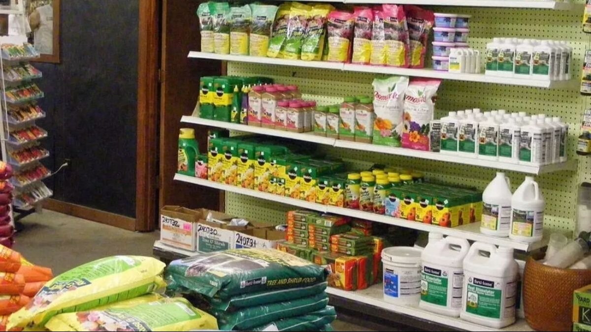 बस एक सूती कपड़ा बताएगा बीज असली है नकली, जांच के लिए ये आसान विधि अपनाएं किसान