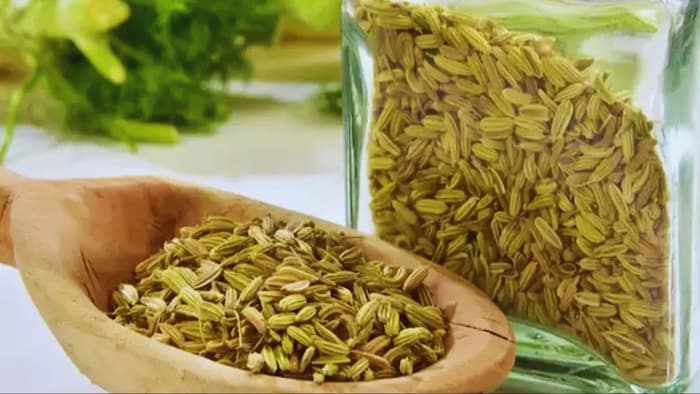 सौंफ उत्पादन में नंबर वन है गुजरात