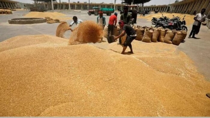 जानिए गेहूं का मंडी भाव