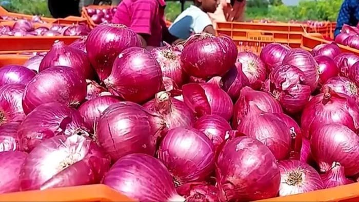 मोदी सरकार ने प्याज निर्यात पर लगा बैन हटाया