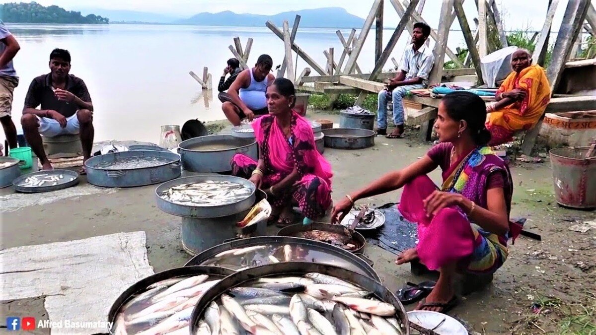अब घर बैठे सीधे मछुआरों से खरीदें ताजा मछली, सरकार और ONDC उठा रहे ये कदम 