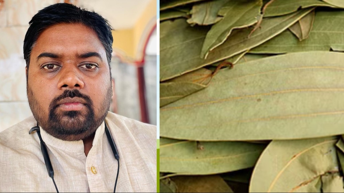Bay Leaf Farming: मिर्जापुर के इस किसान ने पहली बार किया 'तेजपत्ता' की खेती, बोले- एक दिन सपना होगा पूरा