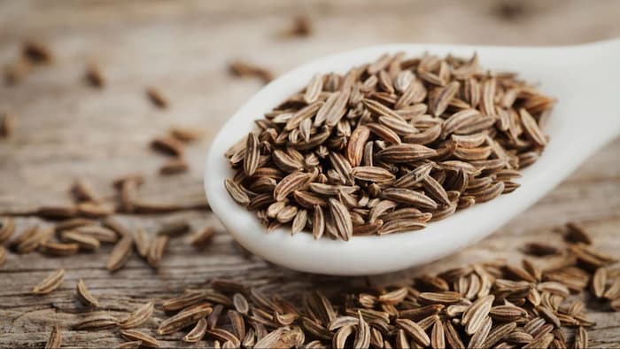 जीरा की खेती में सिंचाई की जरूरत