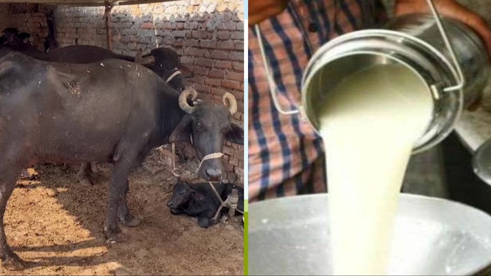 परियोजना से करीब 1 लाख से अधिक लोगों को मिलेगा रोजगार (Photo-Kisan Tak)