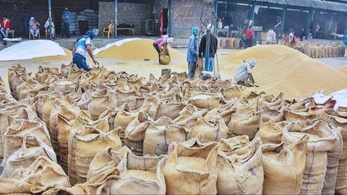 गेहूं की खरीद