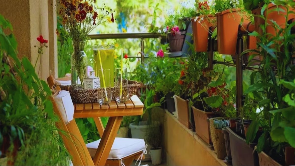 गार्डनिंग टिप्स