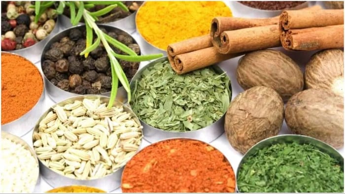 5 आयुर्वेदिक हर्ब्स