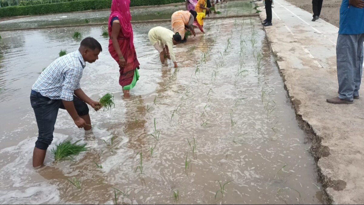 Crop Compensation: यूपी में बारिश-ओलावृष्टि से किसानों को बड़ा नुकसान! गांव में कैंप लगाकर होगा सर्वे, निर्देश जारी