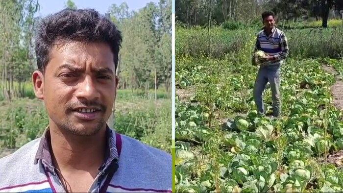 गर्मियों में संजय खीरे की खेती करते हैं. (Photo-Kisan Tak)