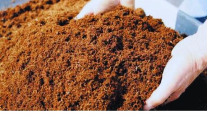 जैविक खाद बनाने का सबसे सस्ता और टिकाऊ तरीका है प्रोम