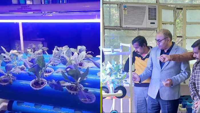 मेरठ के चौधरी चरण सिंह विश्वविद्यालय के वनस्पति विभाग के विभागाध्यक्ष प्रोफेसर विजय मलिक (Photo-Kisan Tak)