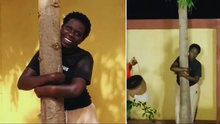 महिला ने पेड़ की मदद से बनाया World Record