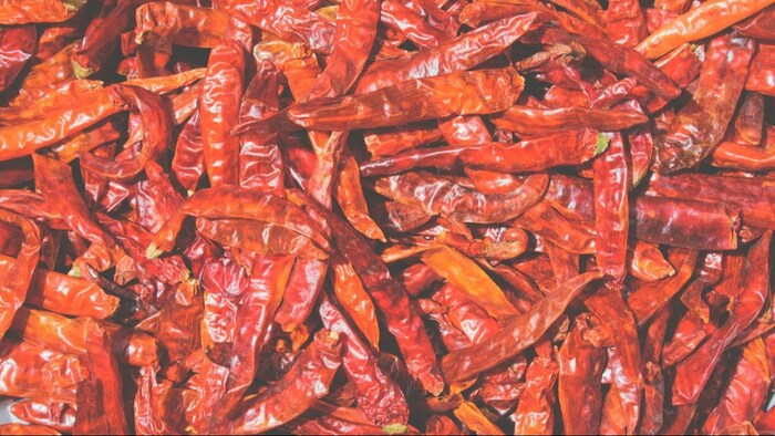 गुंटूर मिर्च मंडी में नई फसल की बंपर सप्लाई. (सांकेतिक फोटो)