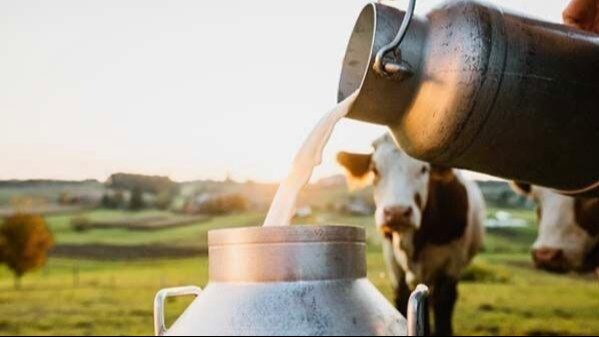 Mahananda Dairy: नौ लाख लीटर दूध रोजाना से 80 हजार लीटर पर आया महानंदा डेयरी का दूध कलेक्शन