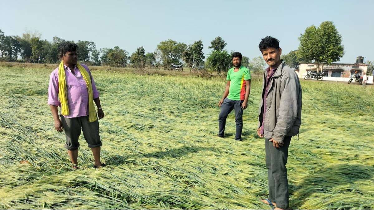Weather & Farmer : यूपी और एमपी के किसानों पर पड़ी मौसम की मार, सरकारों ने दिया हर्जाना देने का भरोसा
