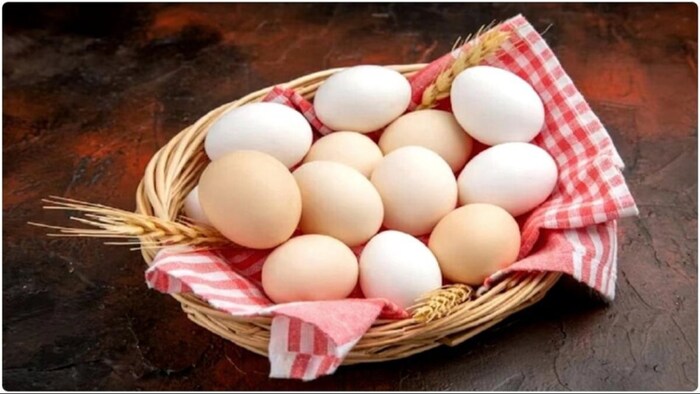 अंडे की कीमत में गिरावट शुरू. (सांकेतिक फोटो)