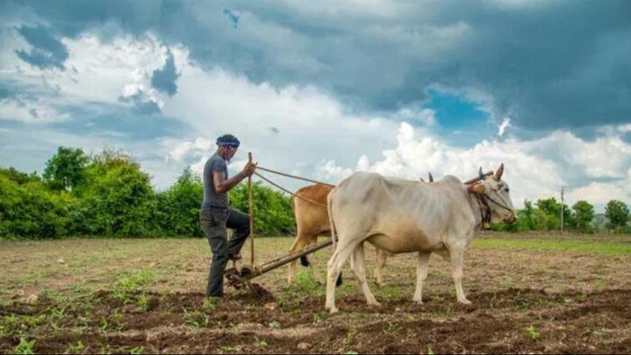 ऐसा पहली बार नहीं हुआ है कि किसानों के खाते में पीएम किसान के पैसे नहीं आए हैं.