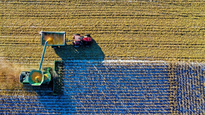 प्रतिकात्मक तस्वीर