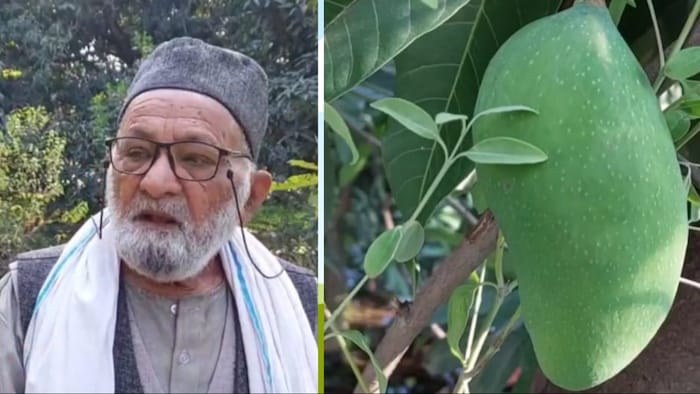 लखनऊ के मलिहाबाद के रहने वाले किसान हाजी कलीम उल्लाह खान (Photo-Kisan Tak)